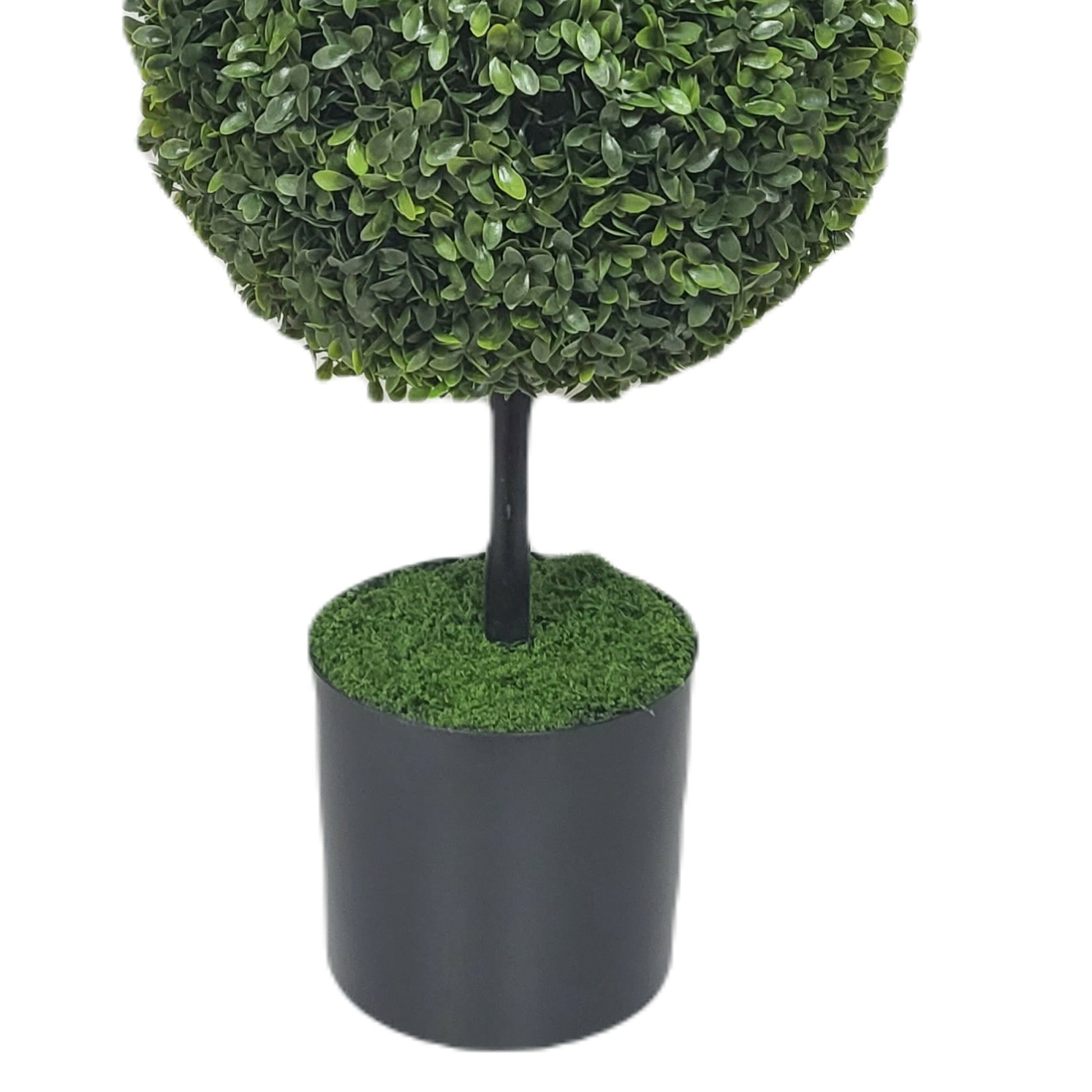 Boxwood Easter Bunny Topiary, Green, 35", by